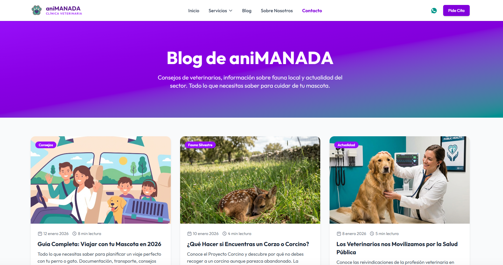 Animanada - Blog